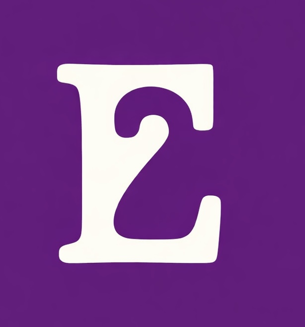 E2 Digital Solutions logo